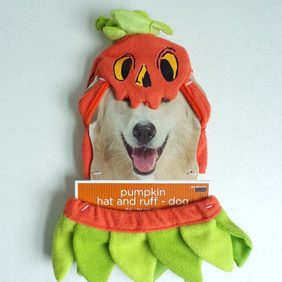 Target Dog Halloween Dog Costume Pumpkin Hat M L 33 Lbs Poshmark
